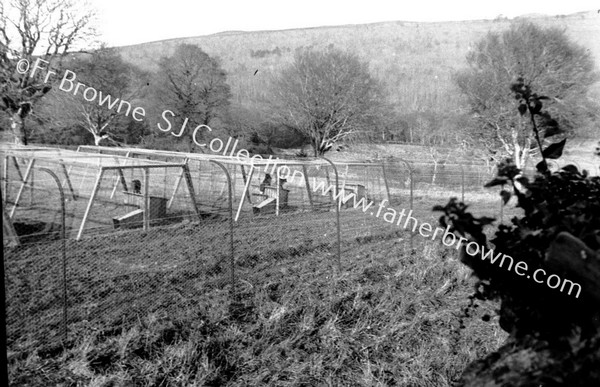 BALLYFEE GENERAL VIEW FROM O.P (OBSERVATION POST)